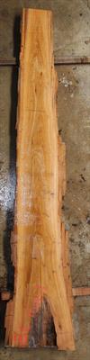 Buried Cypress Slab BC016a-01