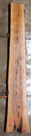 Buried Cypress Slab BC016a-05