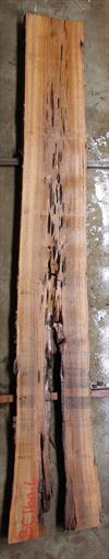 Buried Cypress Slab BC016a-06