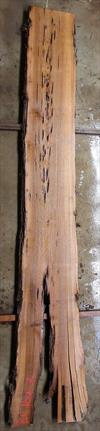 Buried Cypress slab BC016a-07