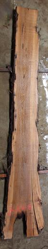 Buried Cypress Slab BC016a-08