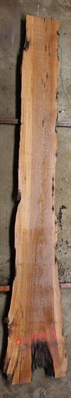 Buried Cypress Slab BC016a-09