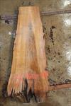 Buried Cypress Slab BC016a-10