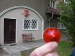Small