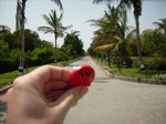 Small