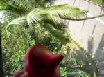 Small