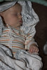 Img_0249_thumb