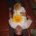 Fb_profile_picture.thumb