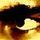 Goldeneyesmaller.thumb