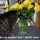 Made_a_bouquet.thumb