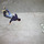 20070429_falling.thumb