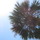 Color_108.thumb