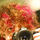 Pinkhairsquarephoto.thumb