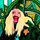 Fb_profile_picture.thumb