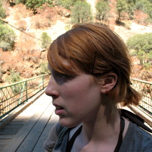 Bridgephotosmall.large