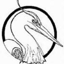 Heron_avatar.large