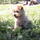 0561111133-03.thumb