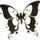 Butterfly_tattoo_clean.thumb