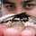 Me_butterfly.thumb