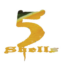 5_shells_logo_fattened.large
