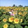 Kellyann_3.thumb