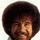 Bobross.thumb