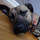 N726894024_1234435_2096.thumb