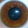 Eyeball.thumb