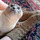 Blog14.thumb