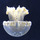 Jellyfish.thumb