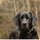 Fb_profile_picture.thumb