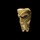 Doom.thumb