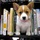 Rubylibrary.thumb