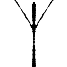 Logo.large