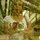 41634_1030381206_9979_n.thumb
