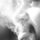 Fb_profile_picture.thumb