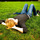 Merecentralpark2.thumb