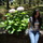 Dsc00380.thumb