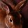 Fb_profile_picture.thumb