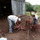 Sam_0191.thumb