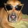 15028_580640320335_35401198_34341155_1361362_n.thumb