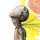 Kenna_370.thumb