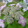 Dscn3680.thumb