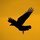Rook_sillouette.thumb