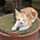 Sam_0385.thumb