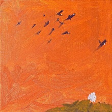 Birdsofrelocation.large