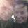 Fb_profile_picture.thumb