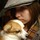 Wendai_2.thumb