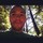 Jon.redwoods.thumb
