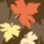 Avatar_51.thumb